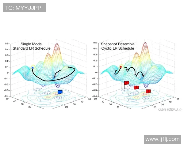 自由泳呼吸技巧全面解析与训练方法提升呼吸效率的实用指南