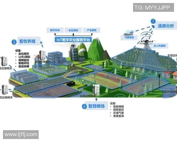 以掘金为核心打造数字经济新生态推动创新发展和产业升级的新机遇 以掘金为核心打造数字经济新生态推动创新发展和产业升级的新机遇