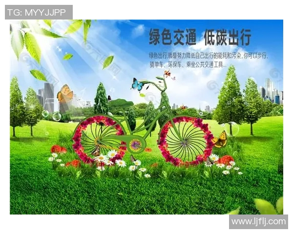 畅享绿色出行，探索自行车带来的健康与环保新生活